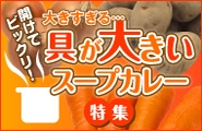 ���礭�������ץ��졼